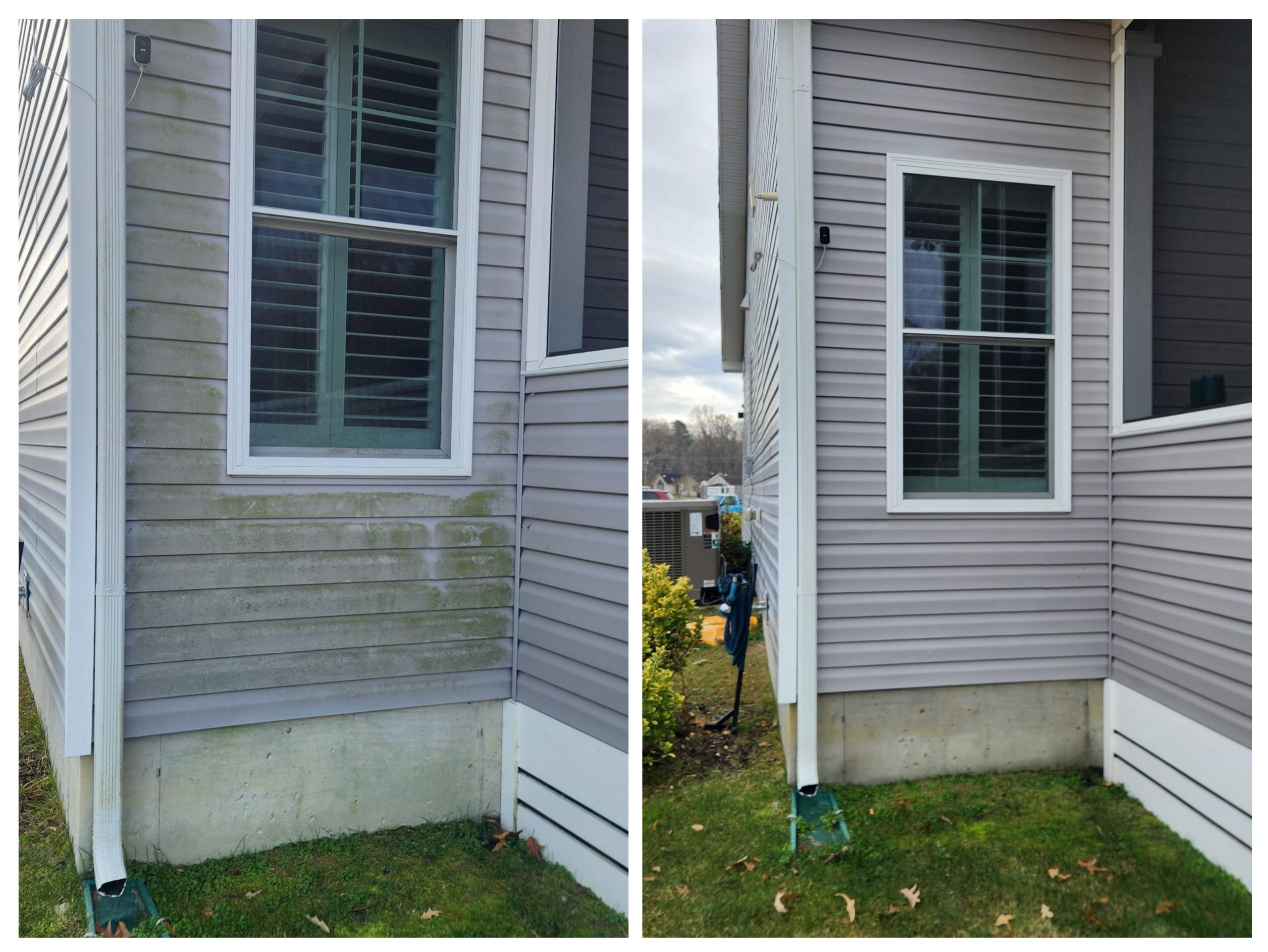 Before and after comparison of power-washed house siding in Seaford DE showing algae removal